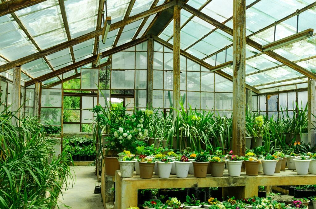 10 Easy-to-Grow Plants for Beginners in Greenhouse