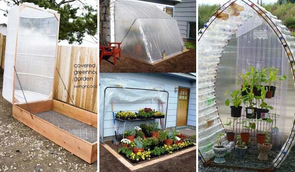 10 Tips for Building a Budget-Friendly Greenhouse