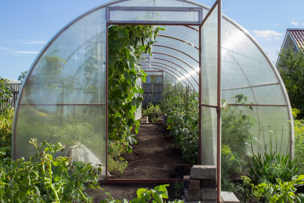 Benefits of High Tunnel Greenhouses