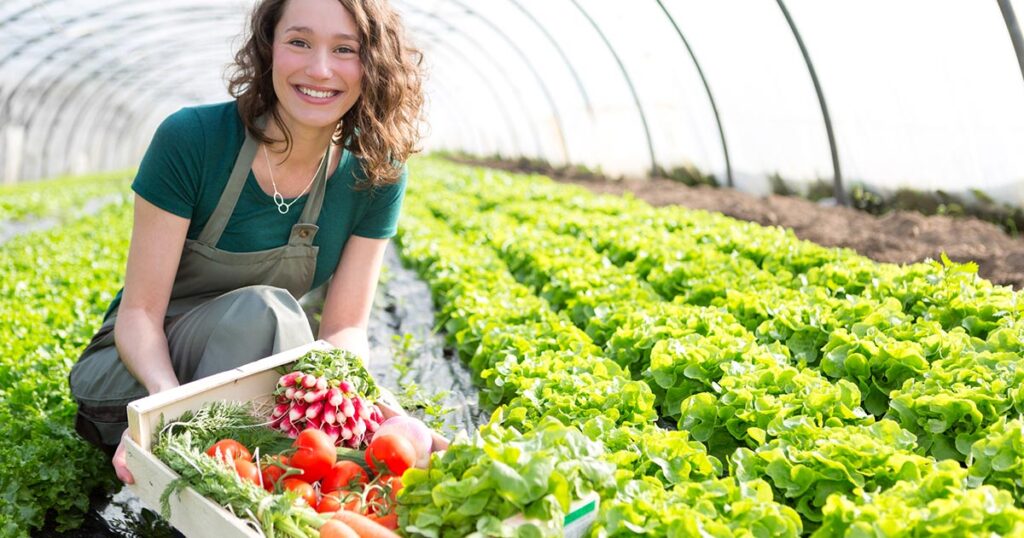 Best Vegetables for Greenhouse Gardening