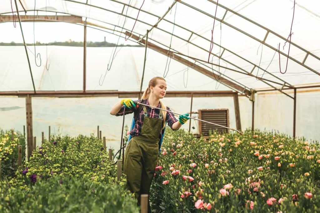 Choosing the Best Fertilizer for Your Greenhouse