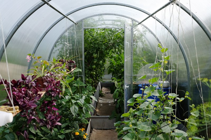 Choosing the Right Size for Your Greenhouse