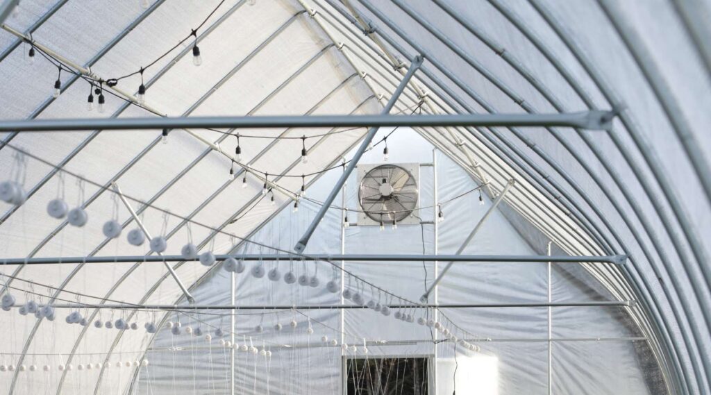Effective Strategies for Greenhouse Ventilation