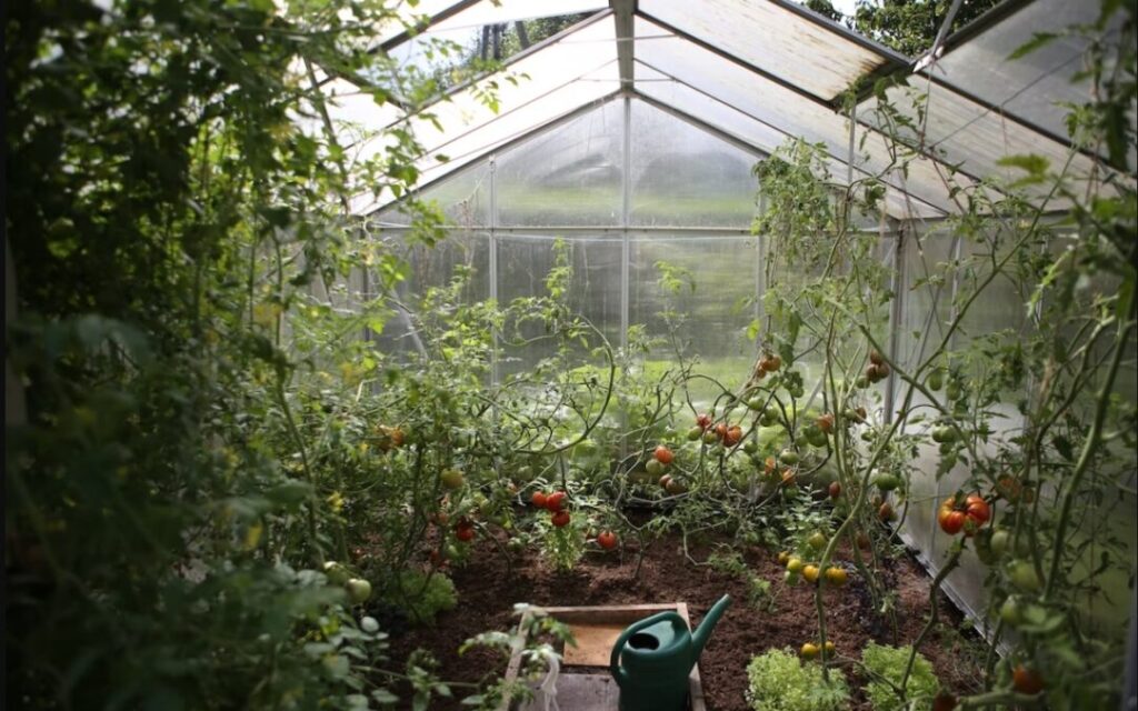 Exploring the Benefits of Indoor Greenhouses