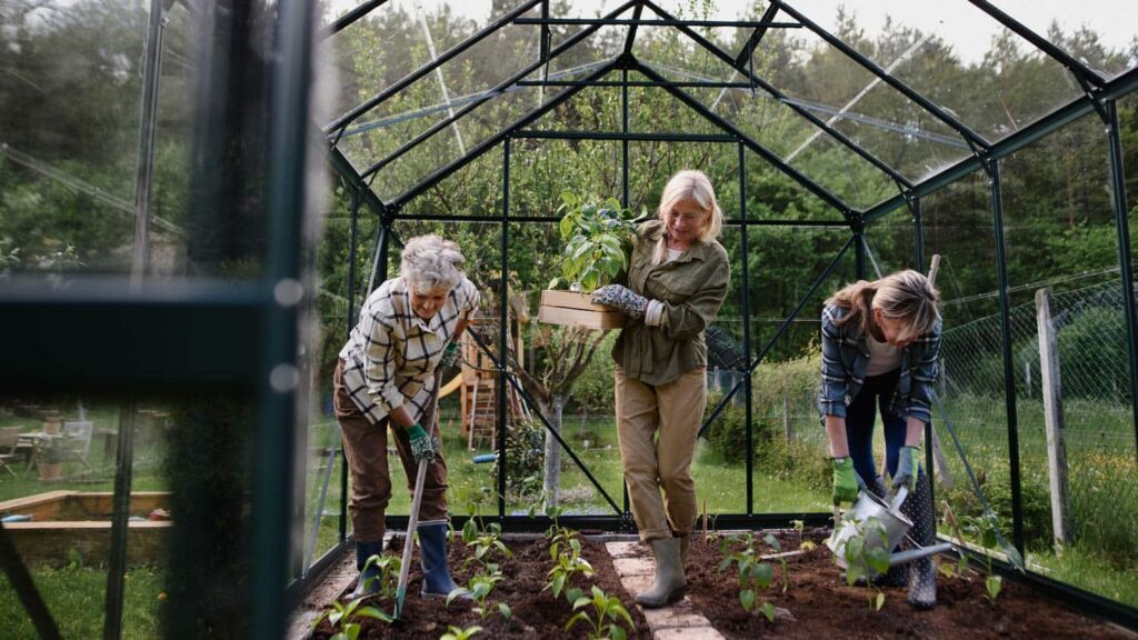 Exploring the Benefits of Indoor Greenhouses