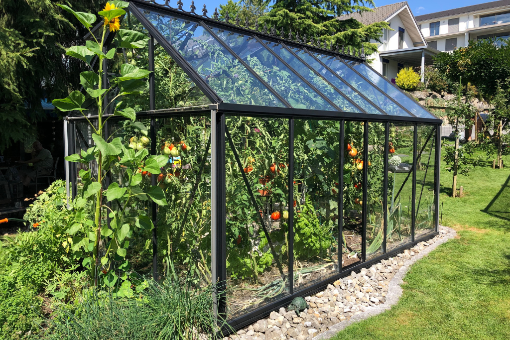 The Best Greenhouse Kits in Canada