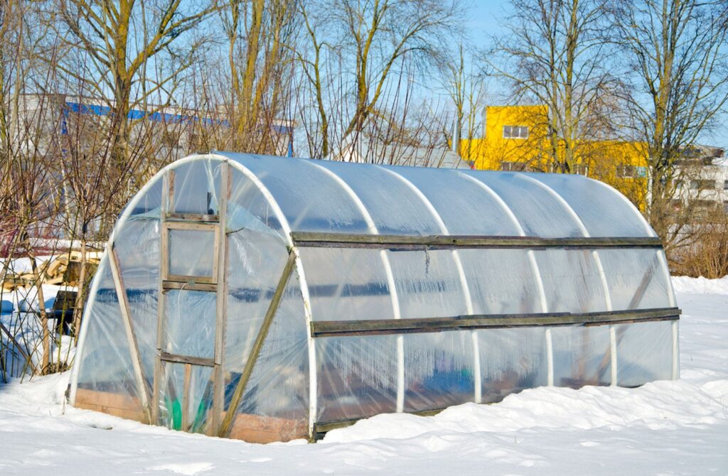 Surviving Winter in a Greenhouse
