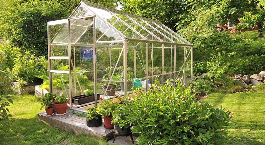 The Advantages of Owning a Greenhouse