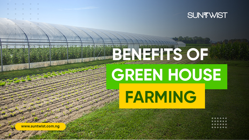 The Importance of Greenhouses in Agriculture