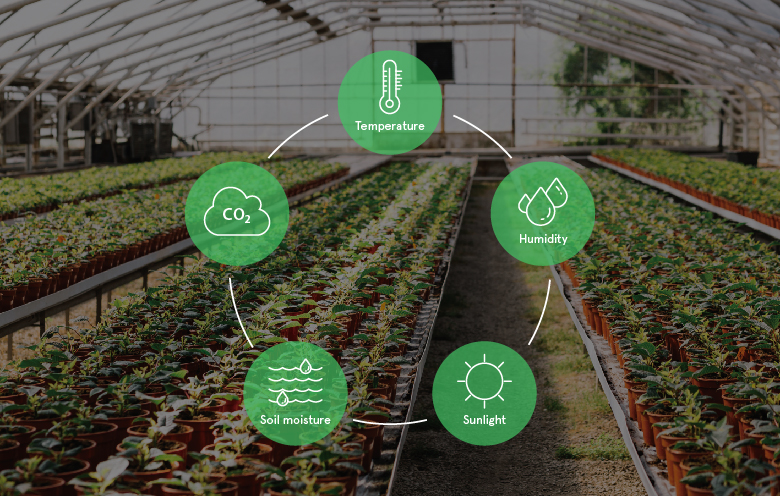 The Importance of Greenhouses in Agriculture