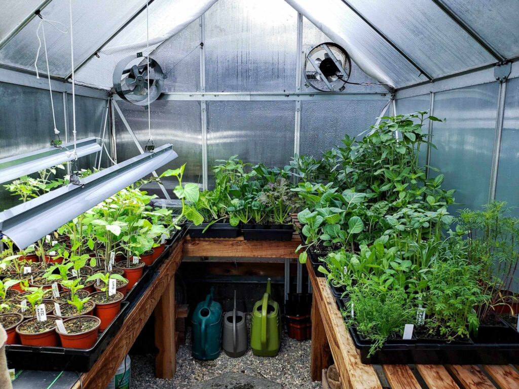 The Ultimate Guide to Greenhouse Gardening Tools and Equipment