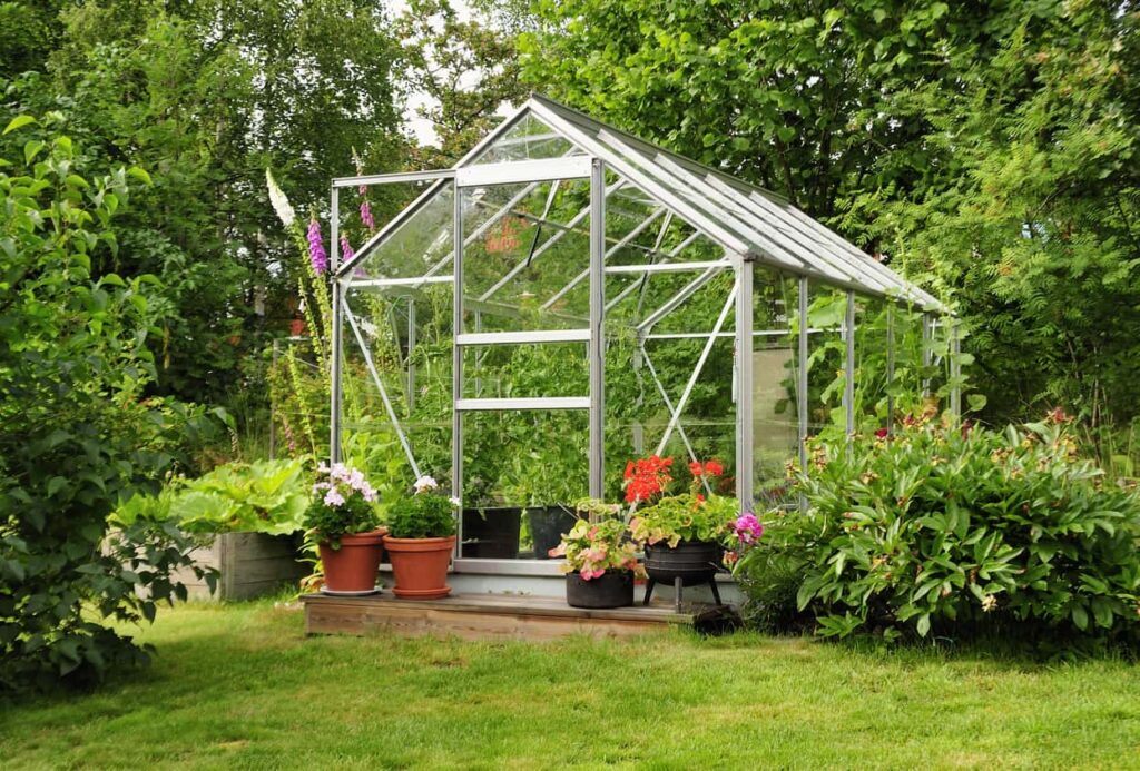 Tips for Cleaning and Maintaining Your Greenhouse