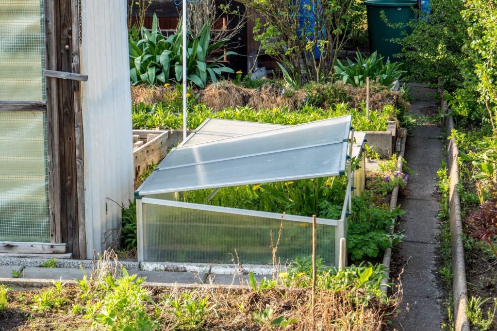 Understanding the functions of a cold frame greenhouse