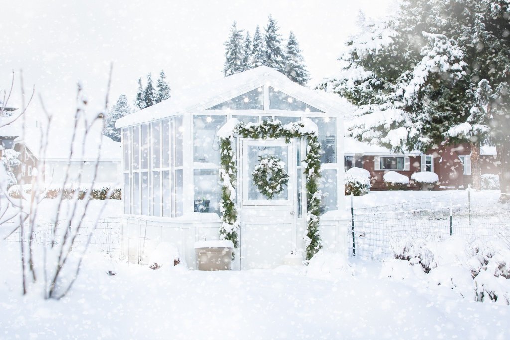 Winter Wonderland: A Greenhouse in the Snow