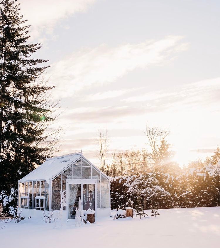 Winter Wonderland: A Greenhouse in the Snow