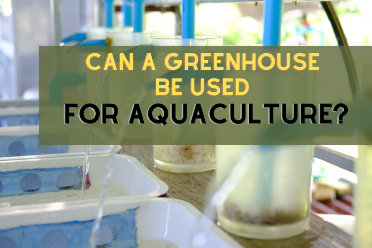 can greenhouses be used for aquaculture?