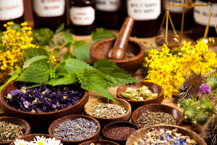 Growing Medicinal Herbs