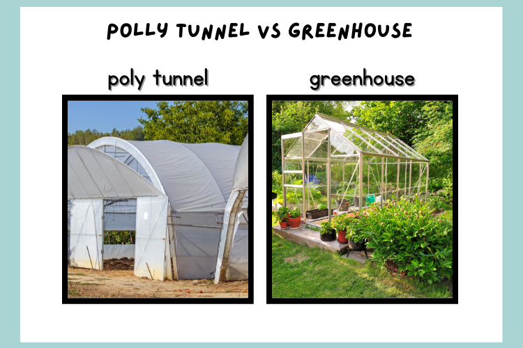 Poly Tunnel Vs Greenhouse