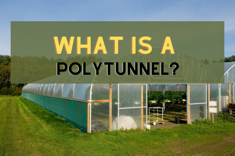 What Is A PolyTunnel?
