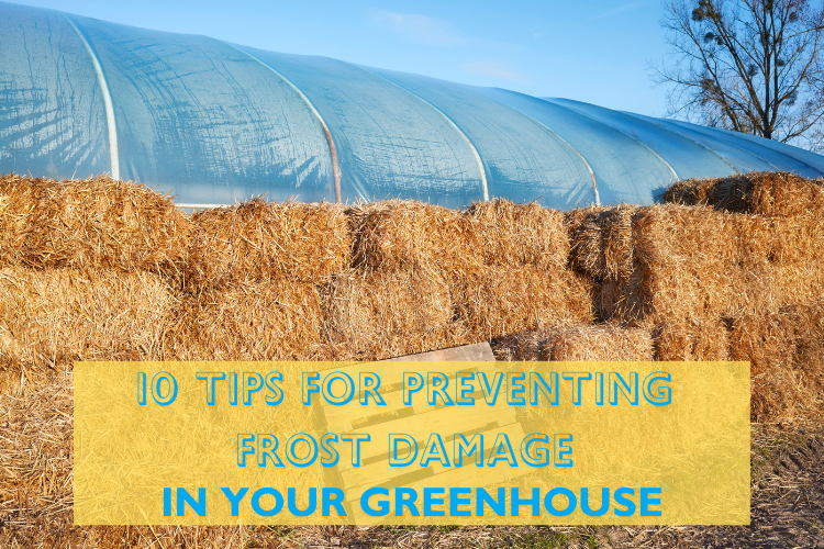 10 Tips for Preventing Frost Damage in Your Greenhouse