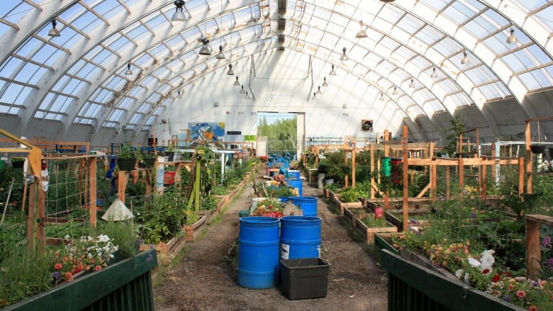 Greenhouse project aims to reduce food insecurity in the North